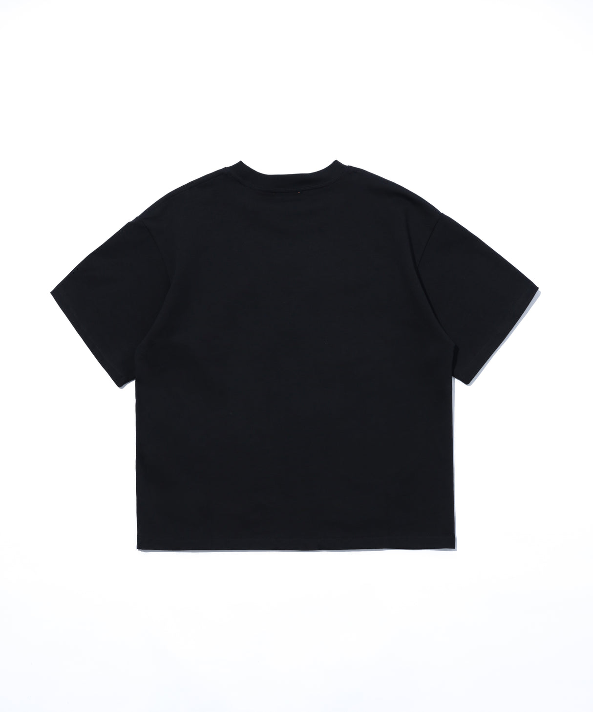 INSPIRATION PALM TREE S/S 26 T-SHIRT