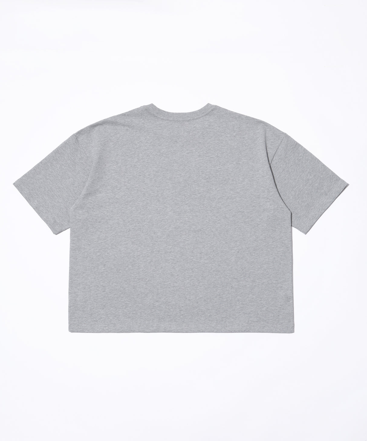 INSPIRATION PALM TREE TEE/GREY